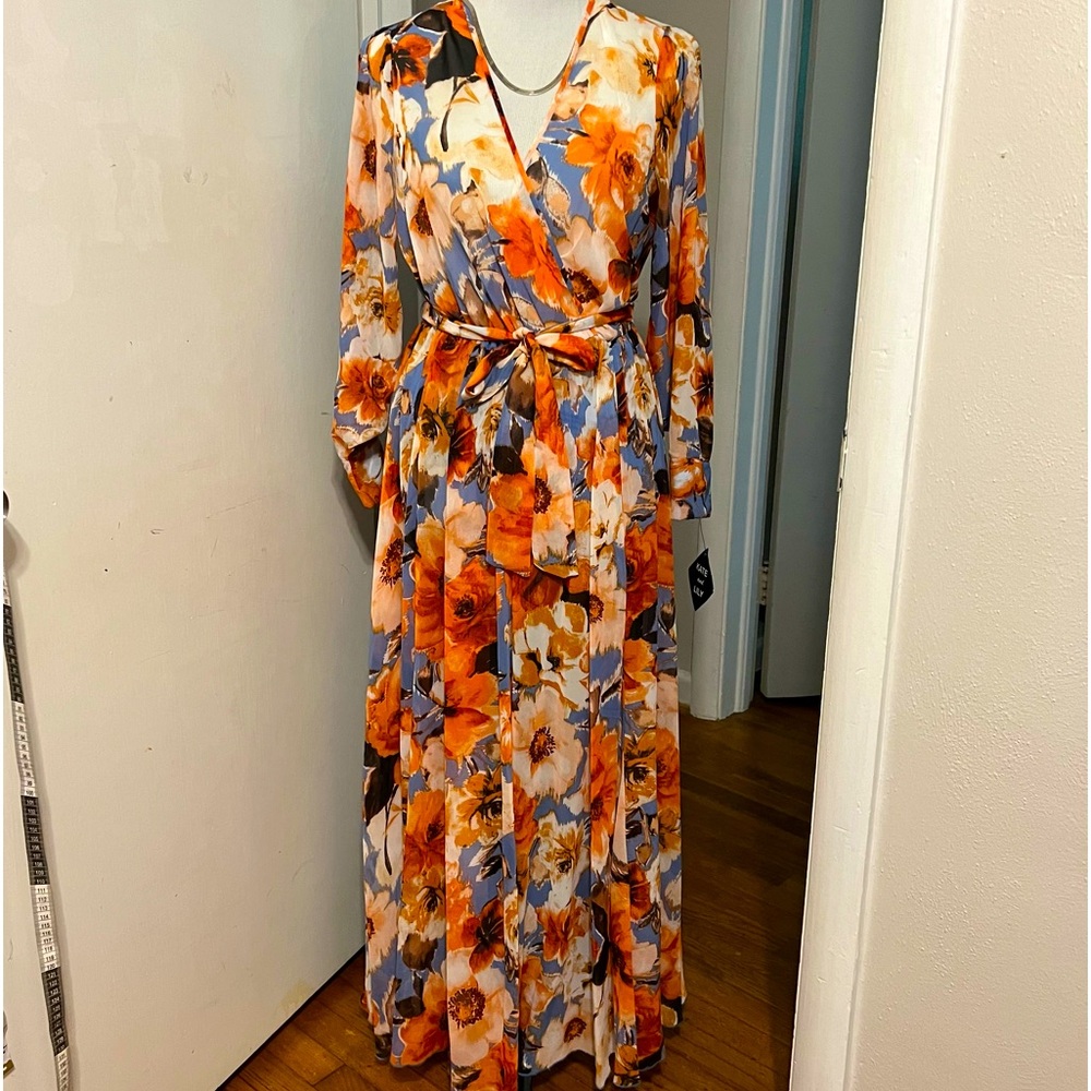 Size 6 Kate and Lily NWT sheer dress with lining earth tones and long sleeve